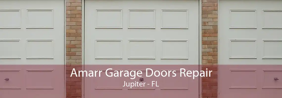 Amarr Garage Doors Repair Jupiter - FL