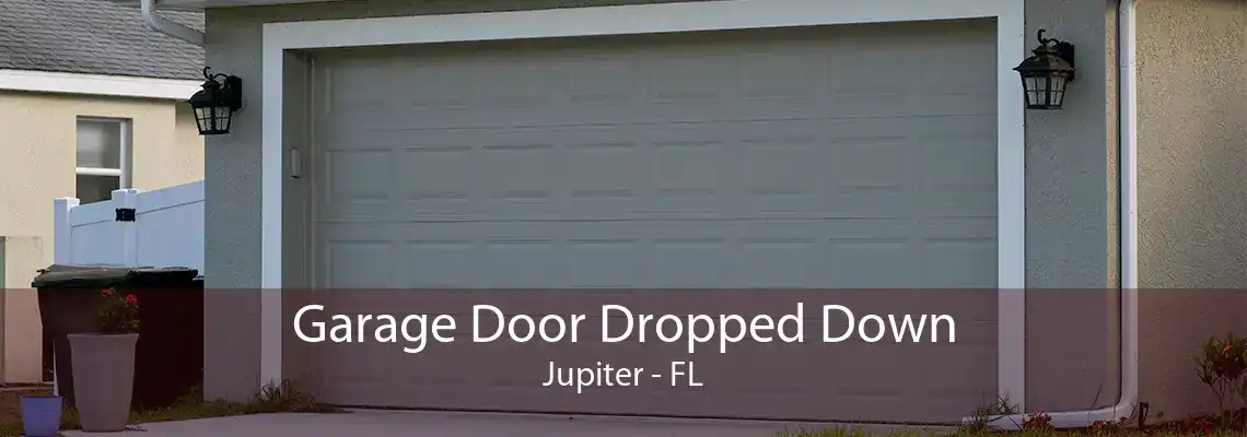 Garage Door Dropped Down Jupiter - FL