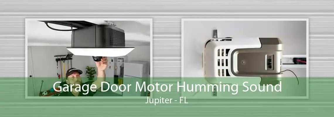 Garage Door Motor Humming Sound Jupiter - FL