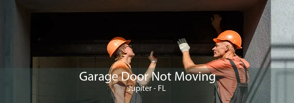 Garage Door Not Moving Jupiter - FL