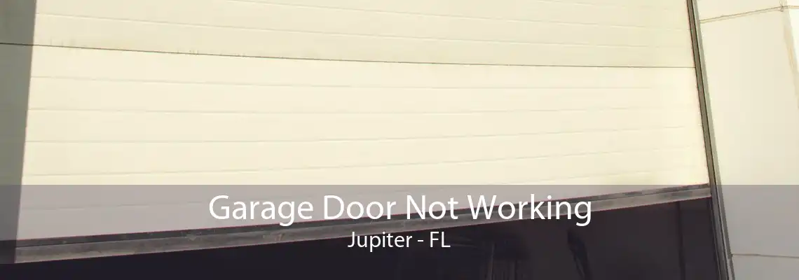 Garage Door Not Working Jupiter - FL