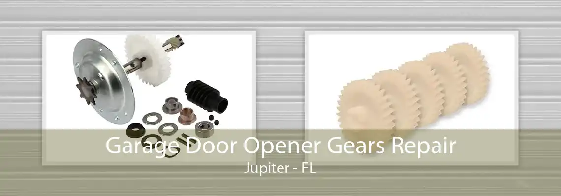 Garage Door Opener Gears Repair Jupiter - FL