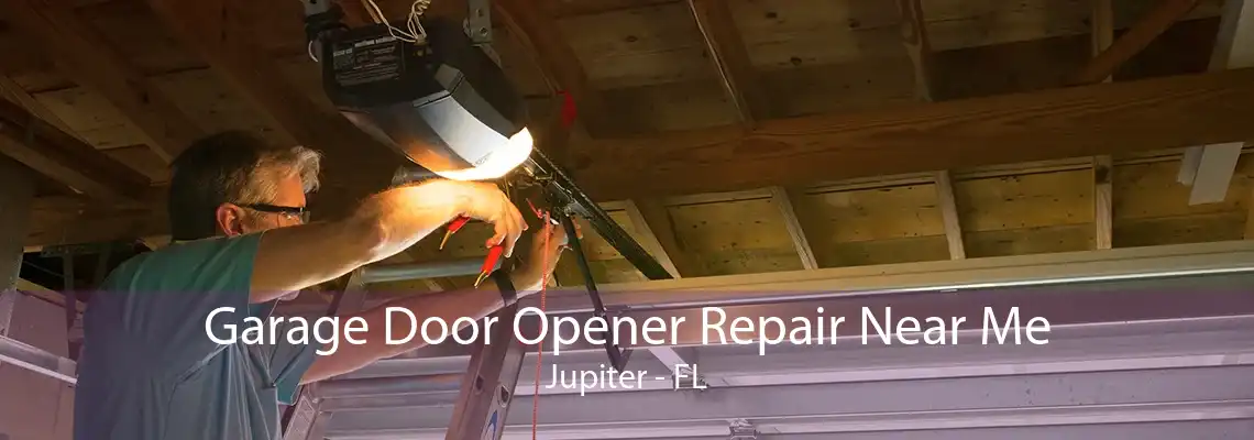 Garage Door Opener Repair Near Me Jupiter - FL