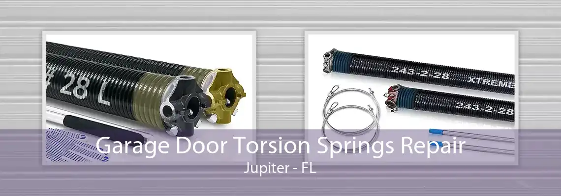 Garage Door Torsion Springs Repair Jupiter - FL