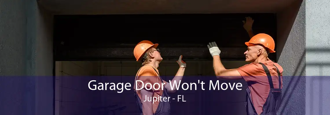 Garage Door Won't Move Jupiter - FL