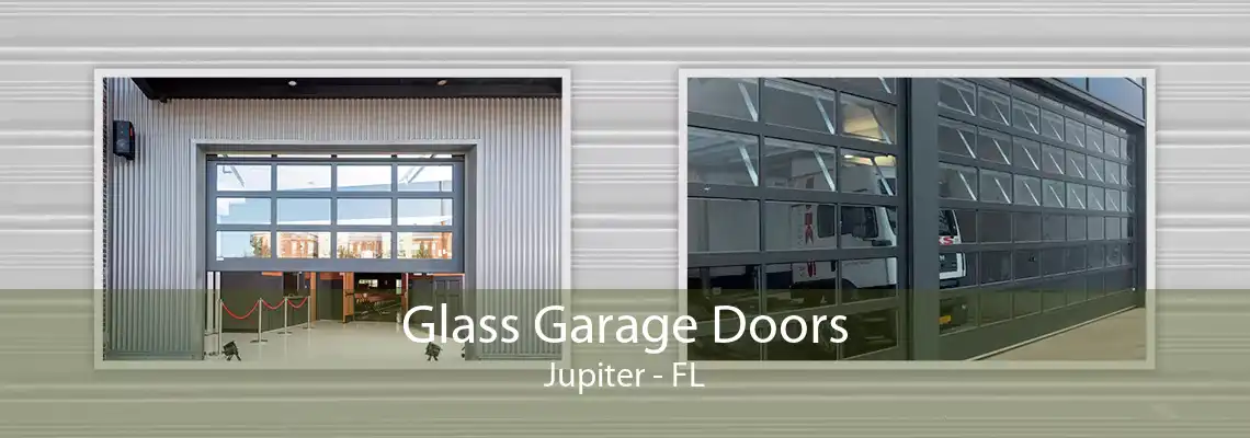 Glass Garage Doors Jupiter - FL