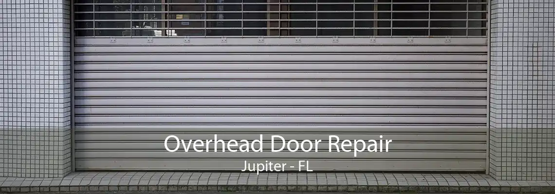 Overhead Door Repair Jupiter - FL