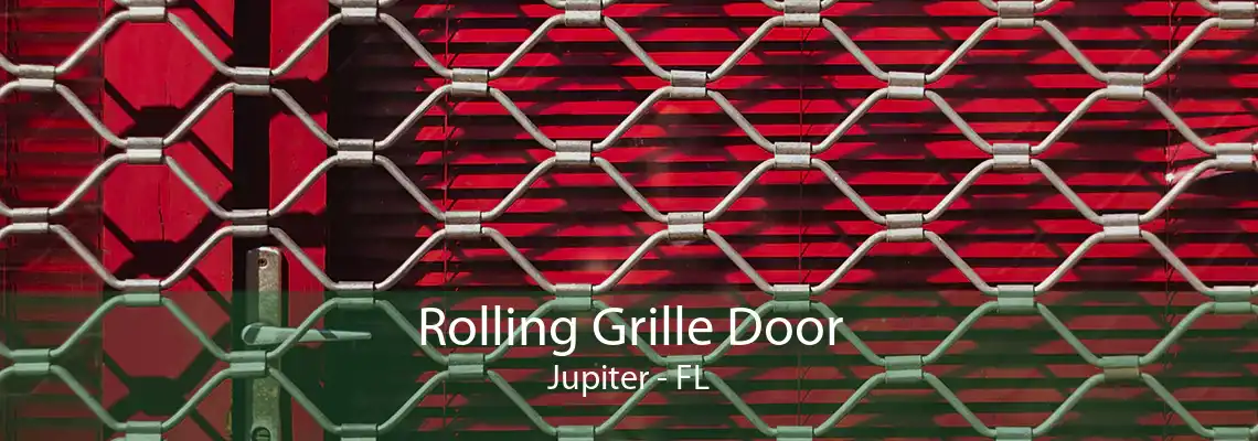 Rolling Grille Door Jupiter - FL